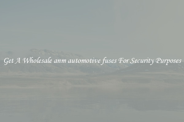 Get A Wholesale anm automotive fuses For Security Purposes