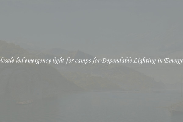 Wholesale led emergency light for camps for Dependable Lighting in Emergencies