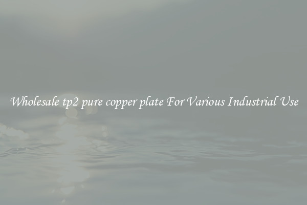 Wholesale tp2 pure copper plate For Various Industrial Use