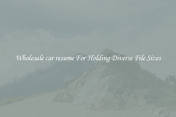 Wholesale car resume For Holding Diverse File Sizes