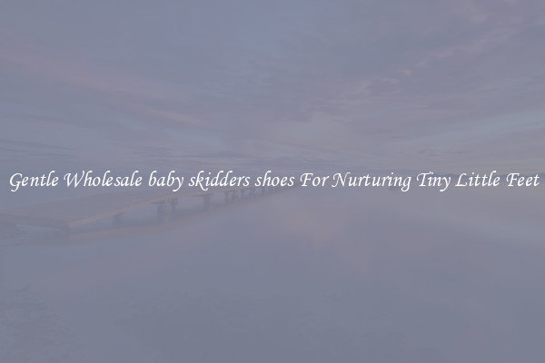 Gentle Wholesale baby skidders shoes For Nurturing Tiny Little Feet