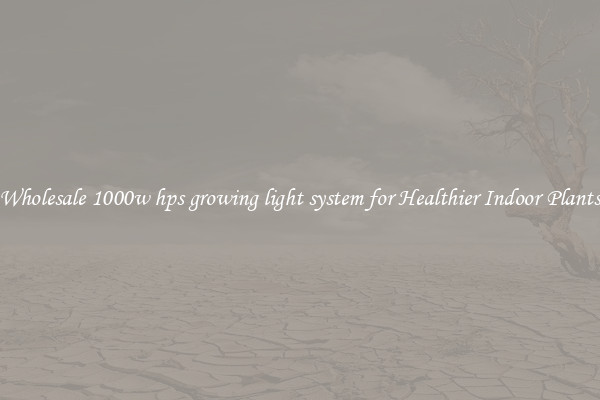 Wholesale 1000w hps growing light system for Healthier Indoor Plants