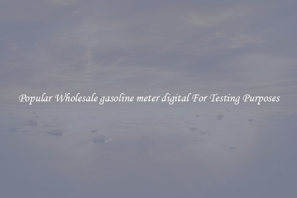 Popular Wholesale gasoline meter digital For Testing Purposes