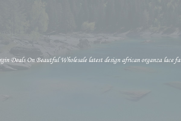 Bargin Deals On Beautful Wholesale latest design african organza lace fabric