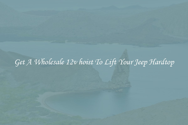Get A Wholesale 12v hoist To Lift Your Jeep Hardtop