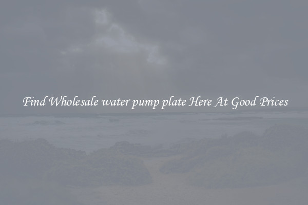 Find Wholesale water pump plate Here At Good Prices