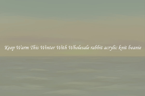 Keep Warm This Winter With Wholesale rabbit acrylic knit beanie