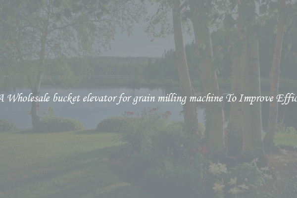 Get A Wholesale bucket elevator for grain milling machine To Improve Efficiency