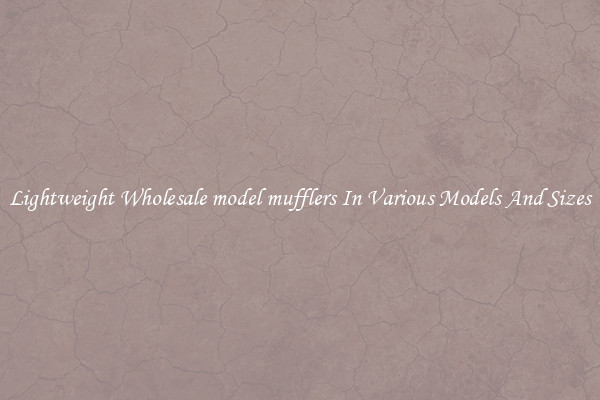 Lightweight Wholesale model mufflers In Various Models And Sizes