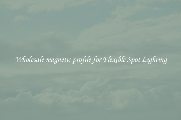 Wholesale magnetic profile for Flexible Spot Lighting
