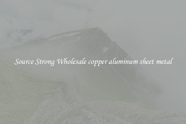 Source Strong Wholesale copper aluminum sheet metal