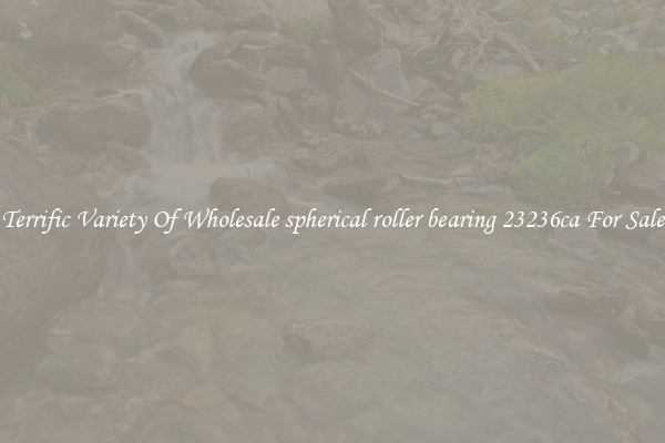 Terrific Variety Of Wholesale spherical roller bearing 23236ca For Sale