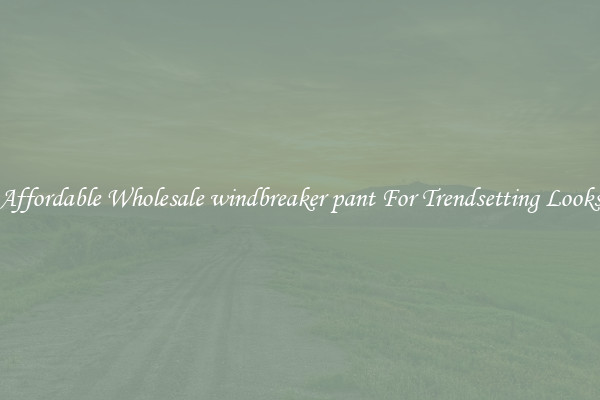 Affordable Wholesale windbreaker pant For Trendsetting Looks