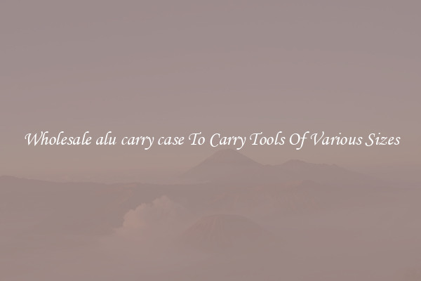 Wholesale alu carry case To Carry Tools Of Various Sizes