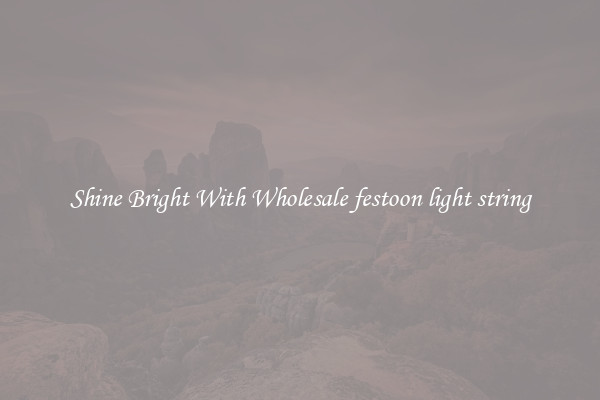 Shine Bright With Wholesale festoon light string