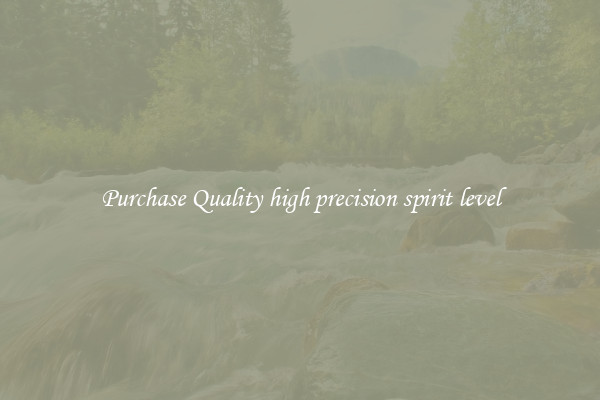 Purchase Quality high precision spirit level